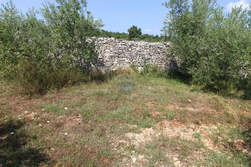 Terreno edificabile Majmajola, Vodnjan, 9.718m2 – 3