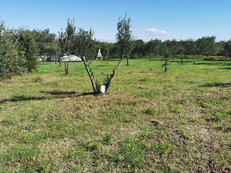 Telek Dobropoljana – 3