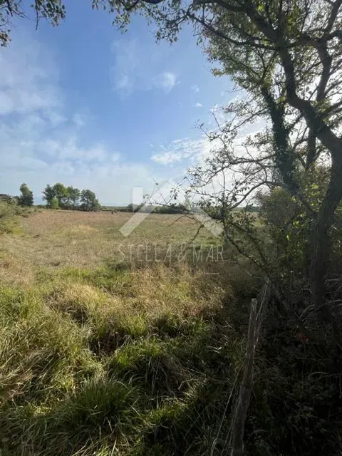 Land Poljica Brig, Nin, 4.670m2 – 2