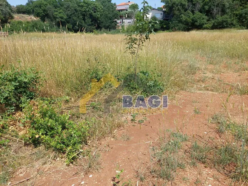 Terreno agricolo urbanizzato 1124m2-Loborika – 2