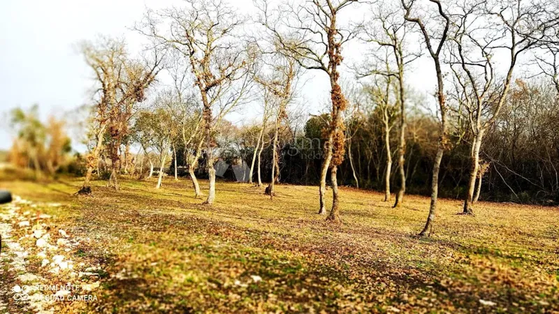 Land Vodnjan, 1.005m2 – 2