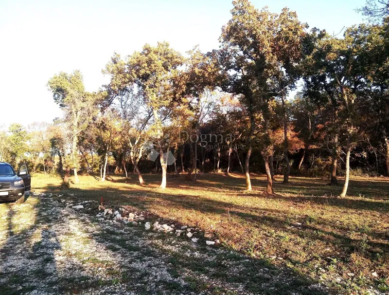 Land Vodnjan, 1.005m2 – 3