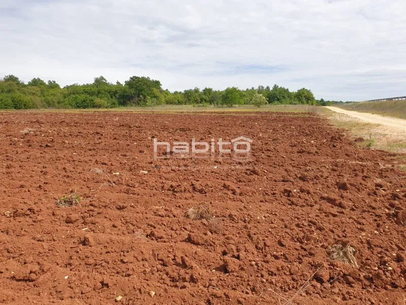 Parenzo 15 km - Terreno agricolo di 47.489 m2 – 2