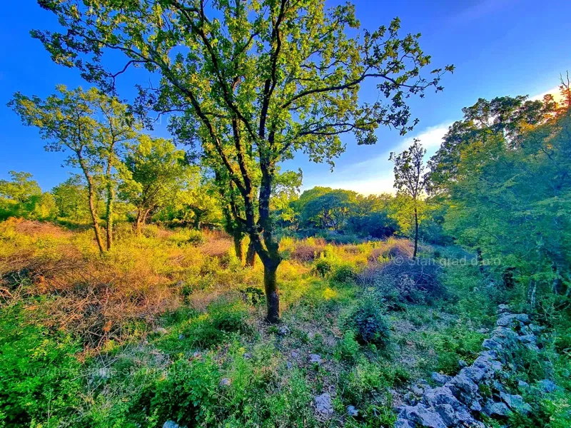 Island of Krk, Soline Bay, building plot in a quiet location, for sale! – 3