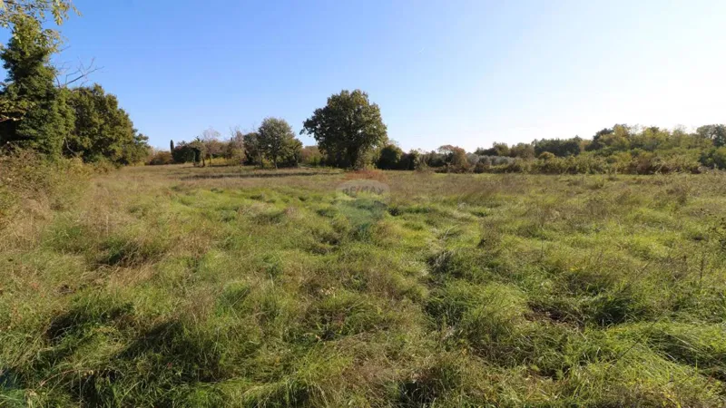 Terreno edificabile Baderna, Poreč, 120.005m2 – 2