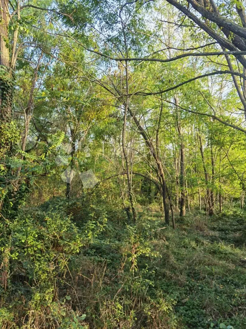 Föld Vižinada, 1.047m2 – 3