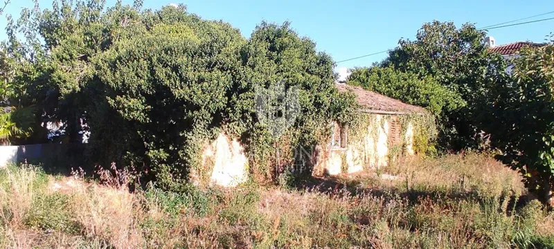 Poreč, surroundings, land with a project 100 m from the sea! – 3