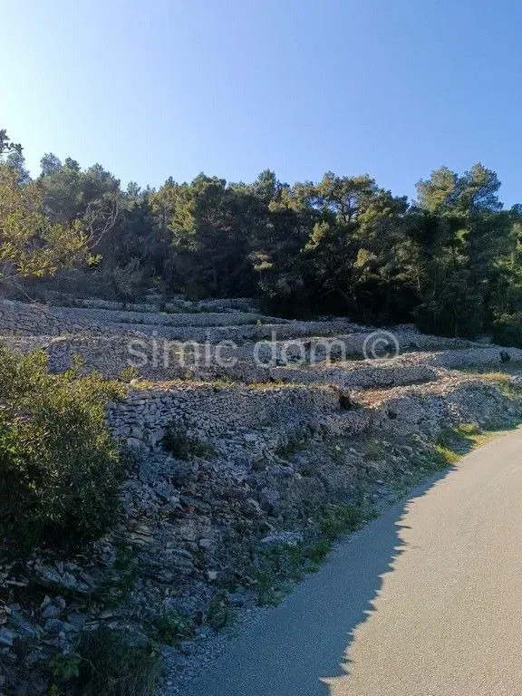 Telek Vela Luka – 3