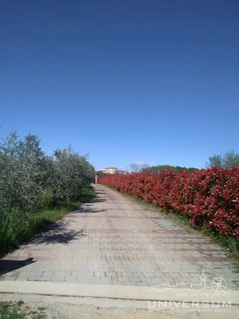 Una bella casa immersa nella natura e con vista sul mare a Cittanova – 2