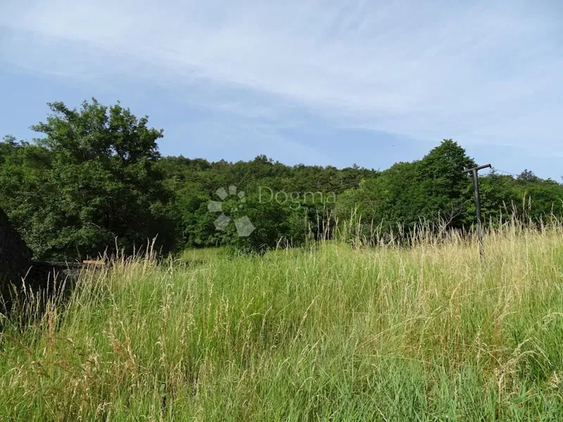 Land Hum, Buzet, 2.154m2 – 3