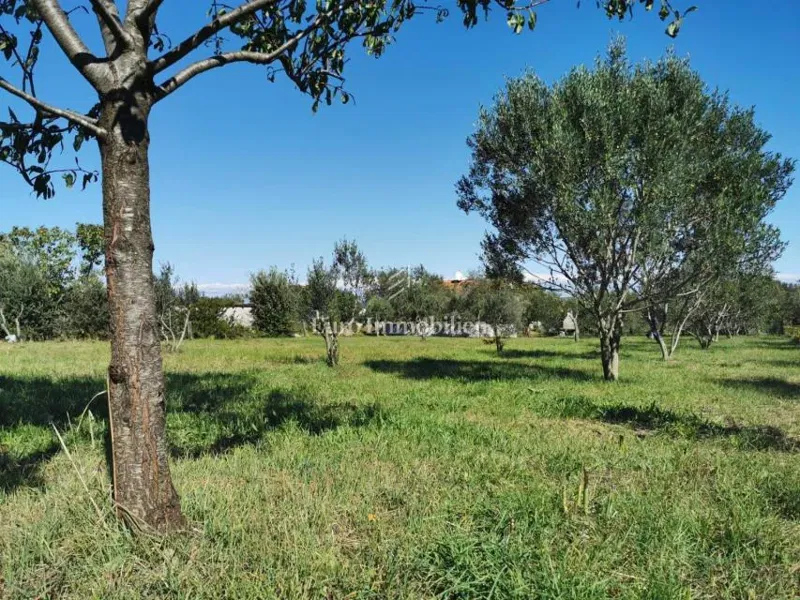 Telek Dobropoljana – 3