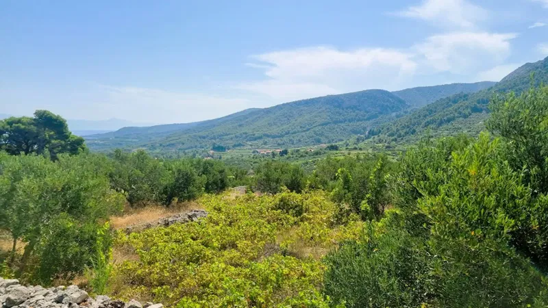 Terreno Jelsa – 2