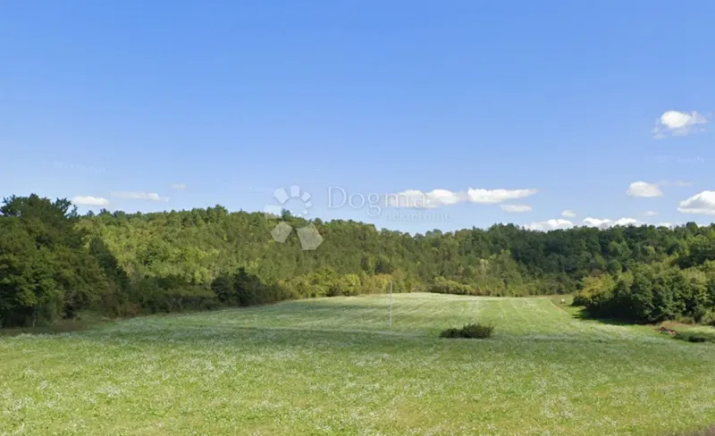 OPPORTUNITY, AGRICULTURAL LAND IN PAZIN – 2