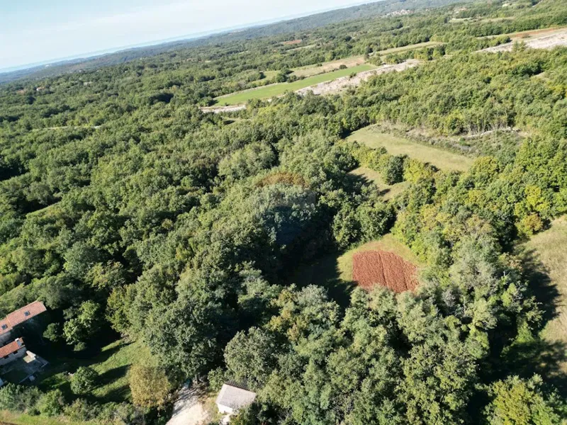 Земельный участок строительного назначения Orbanići, Žminj, 13.500m2 – 2