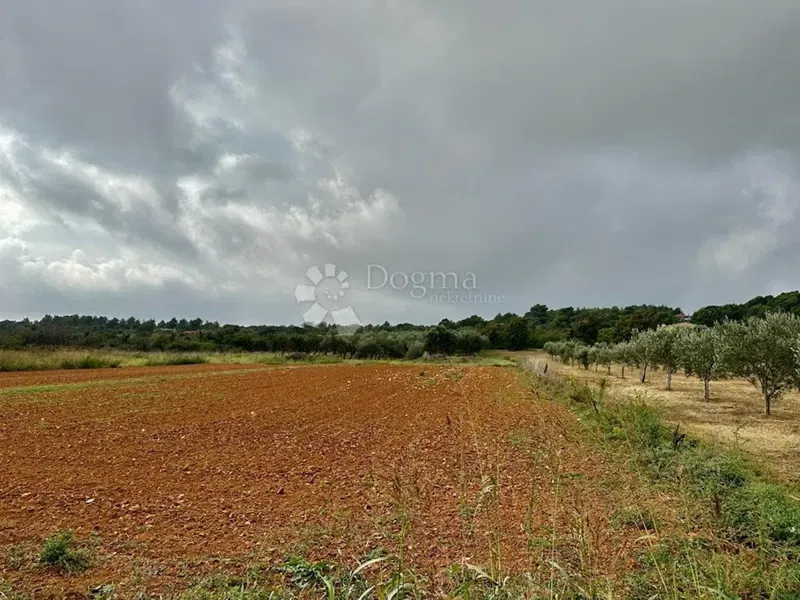 Land Ližnjan, 4.745m2 – 2