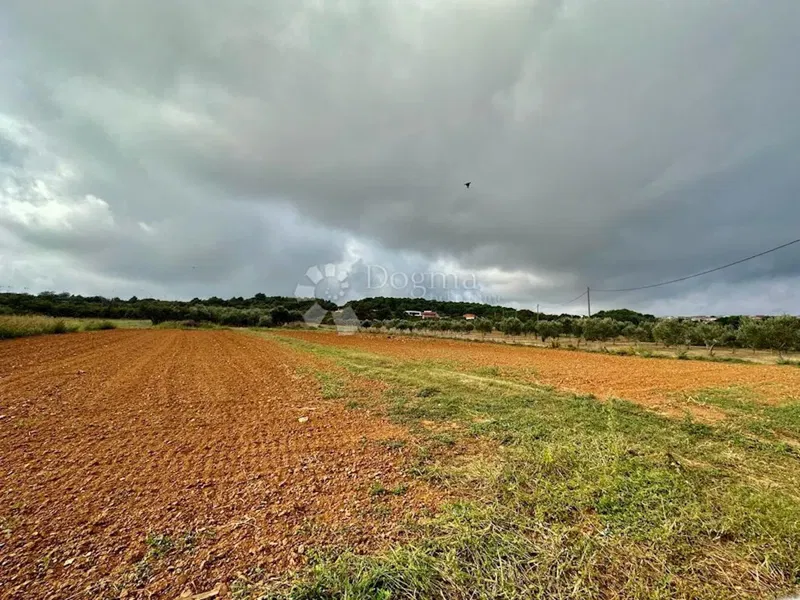 Land Ližnjan, 4.745m2 – 3