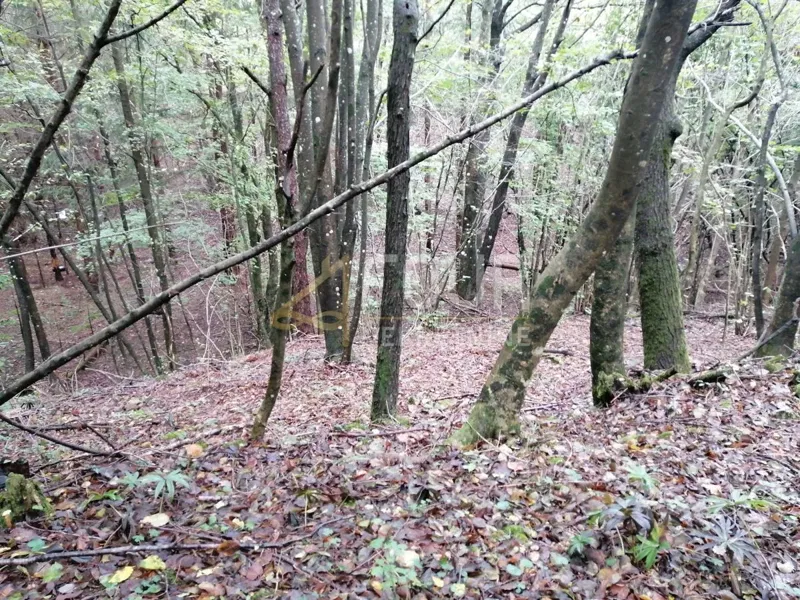 Land Klana, 3.690m2 – 2