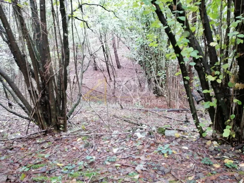 Land Klana, 3.690m2 – 3