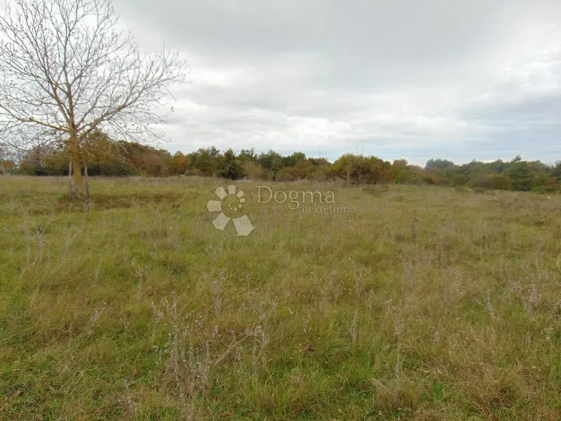 Land Žminj, 15.136m2 – 2