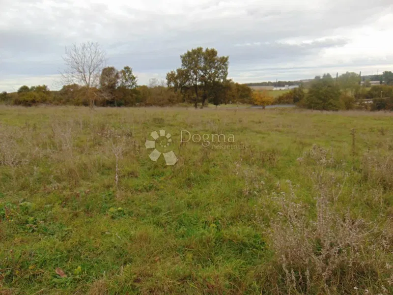 Land Žminj, 15.136m2 – 3