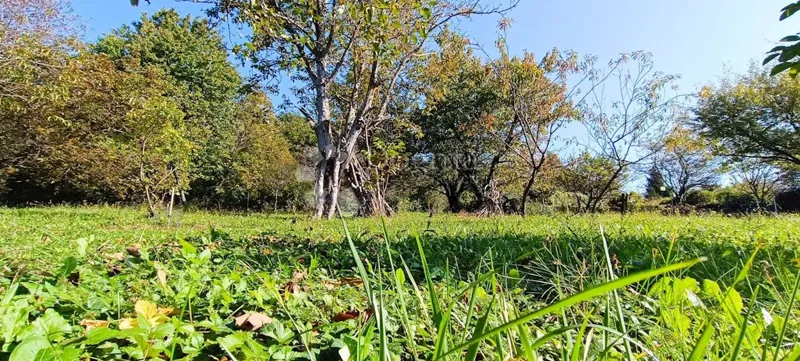Land Gračani, Podsljeme, 1.713,60m2 – 2