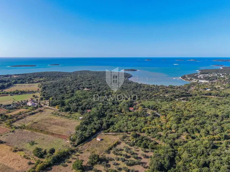 Dom Rovinj – 2