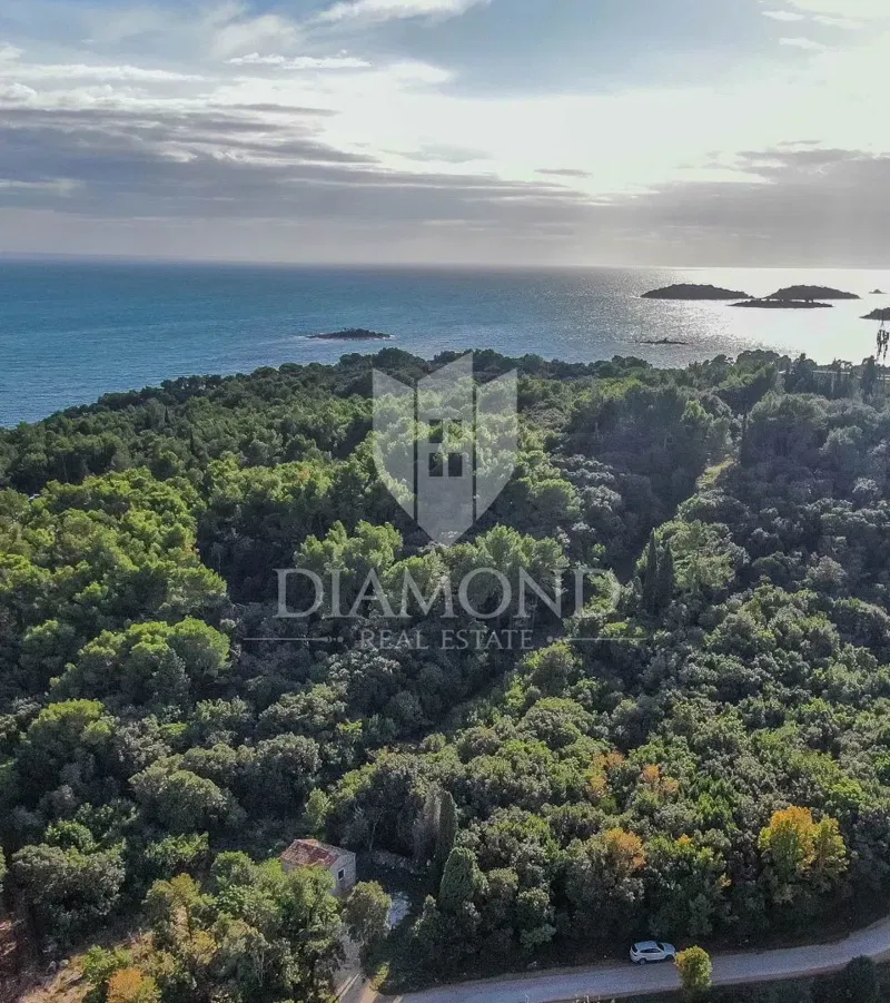 Rovinj, a house by the sea with great potential – 2