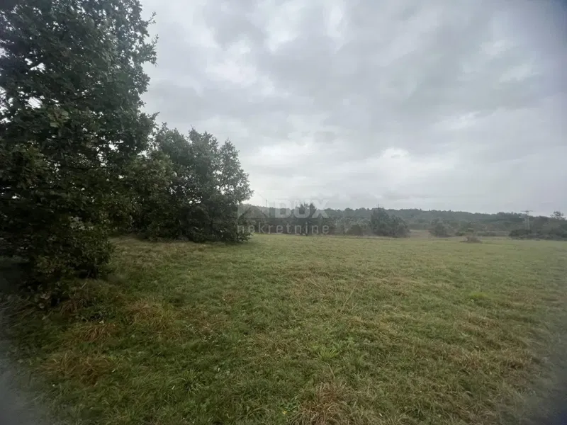 ISTRIE, LABIN - Zemědělský pozemek 27394 m2 – 3