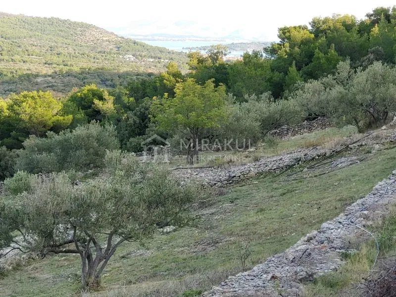 Terreno Tribunj – 3