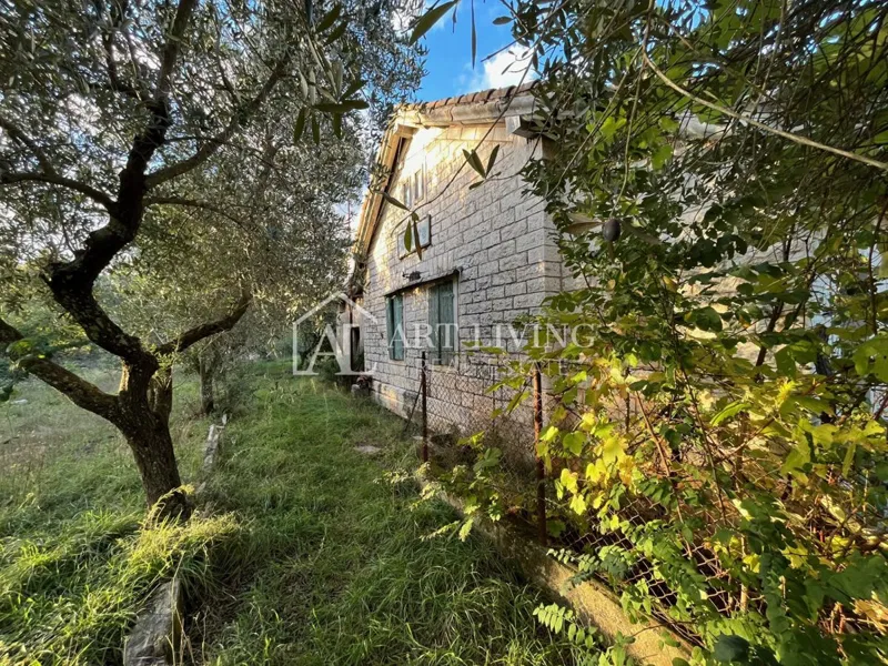 Umag, okolica - PRILOŽNOST!! kamnita hiša za adaptacijo na fantastičnem zemljišču – 3