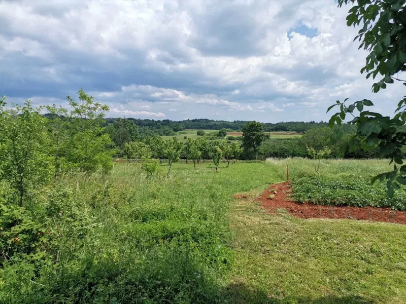Z-678 Vižinada, zemljište 2096  m2, 55.000 Eur