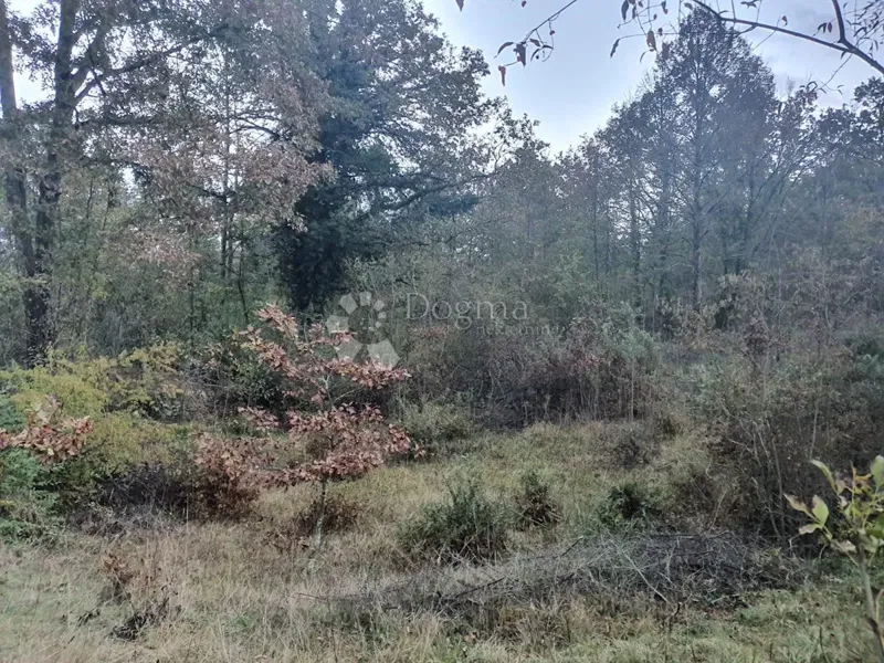 Land Jurdani, Matulji, 2.039m2 – 3