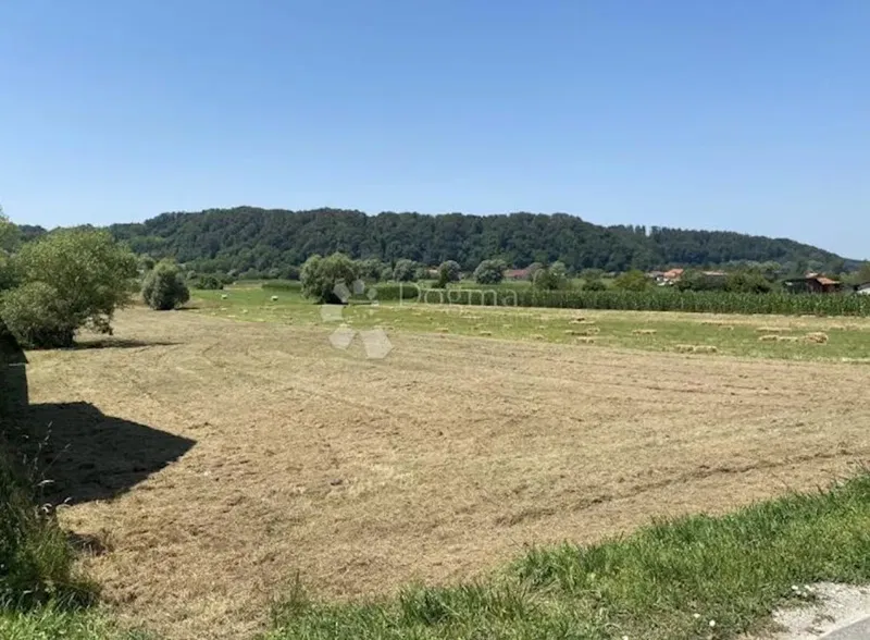 Selnica Marija Bistrica na glavnoj cesti