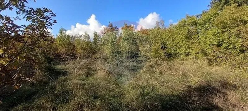 Building plot Kanfanar, 6.010m2 – 2