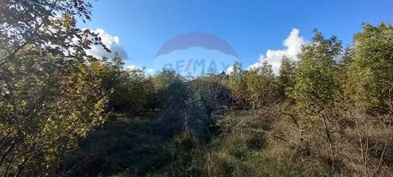 Building plot Kanfanar, 6.010m2 – 3