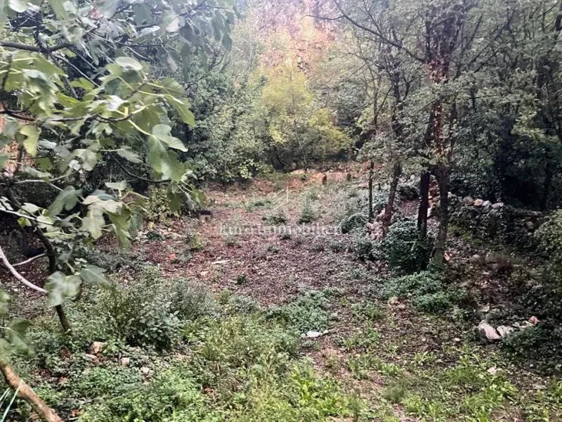 Telek Grižane – 2