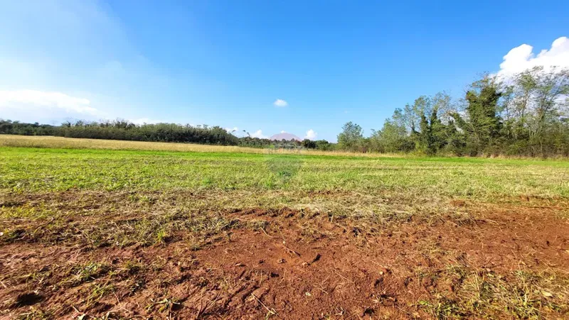 Земельный участок нестроительного назначения Umag, 2.496m2 – 2