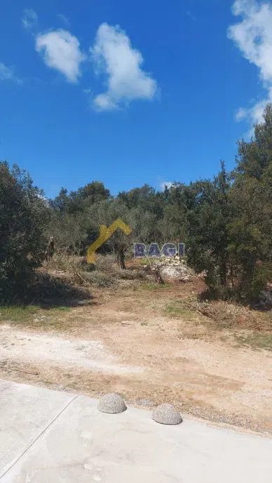 Terreno edificabile Pašman, 3.000m2 – 3