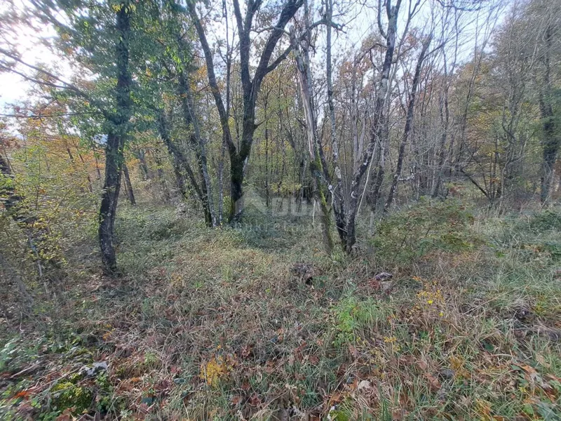 Föld Permani, Matulji, 5.100m2 – 2