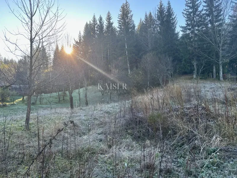 Building land Ravna Gora, 853m2 – 2