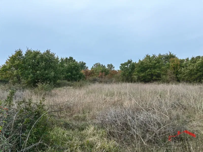 Dignano-Gajana, terreno agricolo – 2