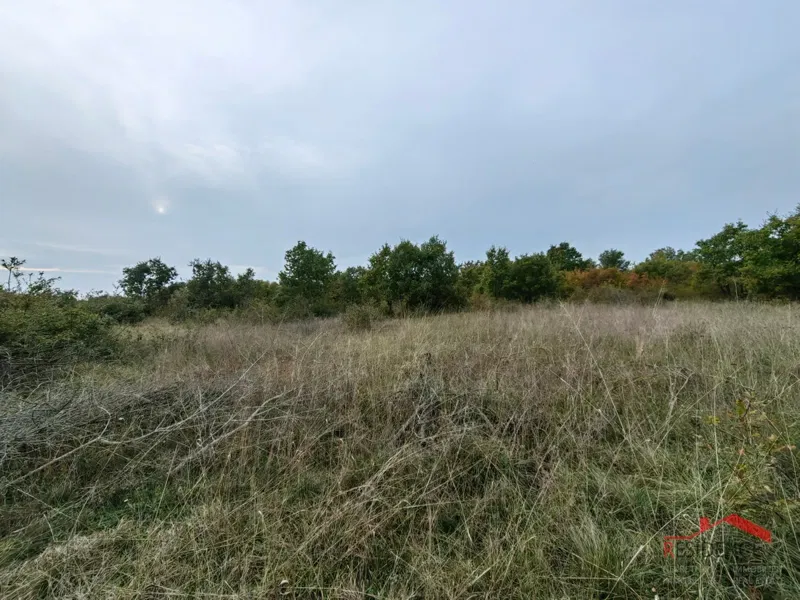 Dignano-Gajana, terreno agricolo – 3