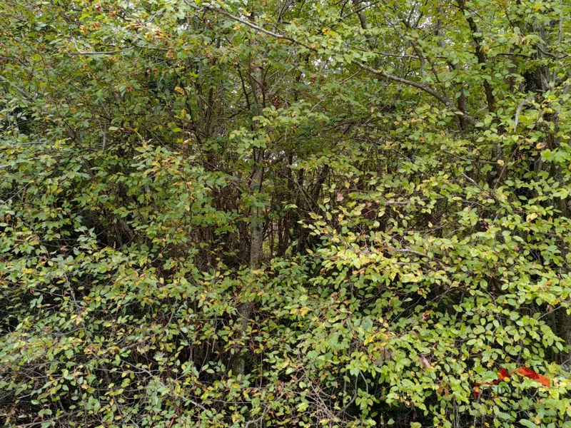 Bale, agricultural land – 3