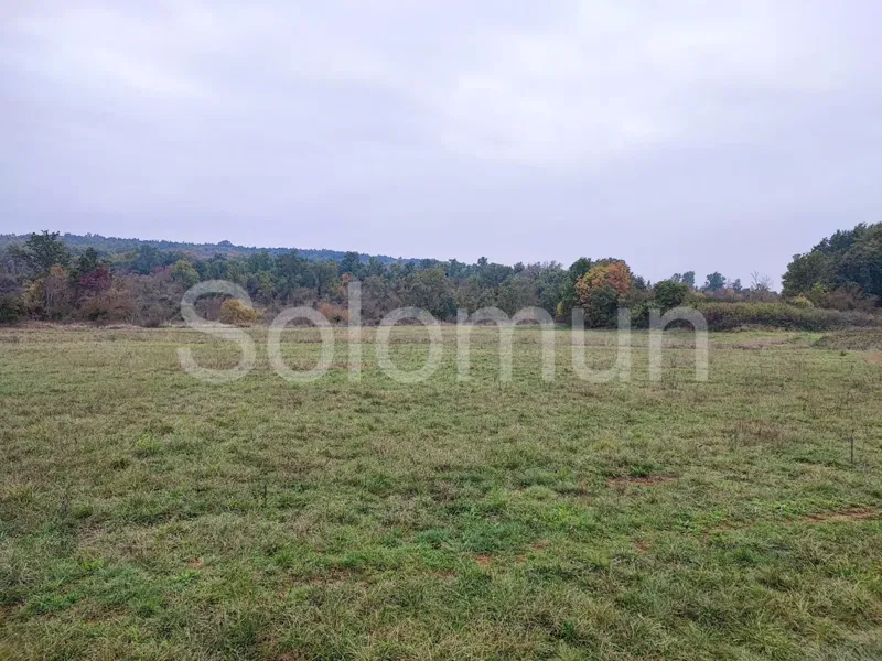 Land Sale Kanfanar 174551 m2 – 2