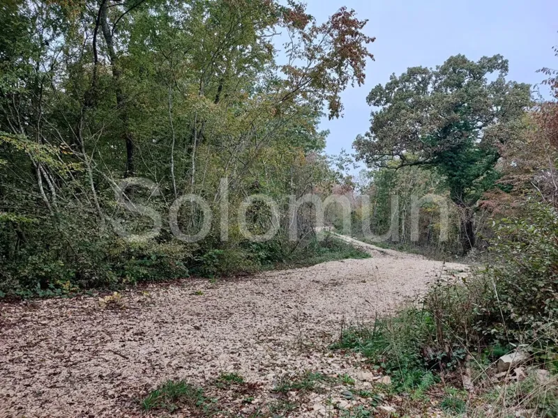 Land Sale Kanfanar 174551 m2 – 3