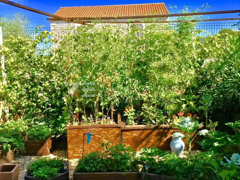 VILLA RUSTICA IN PIETRA CON PISCINA E AMPIO GIARDINO – 3