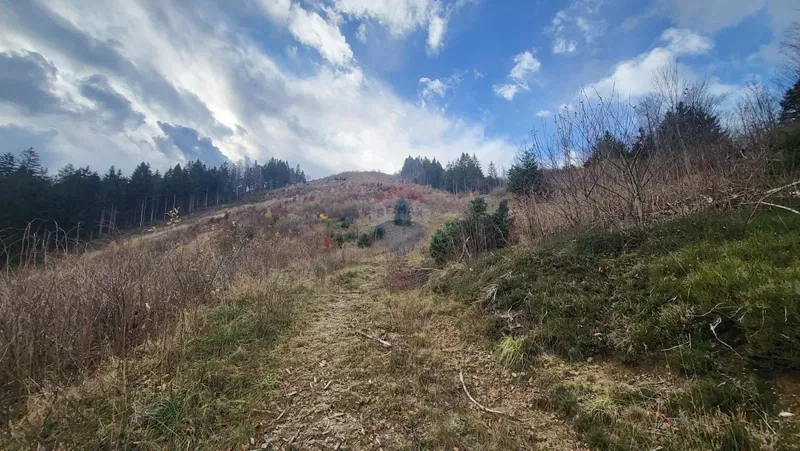 Building plot Sunger, Mrkopalj, 18.172m2 – 2