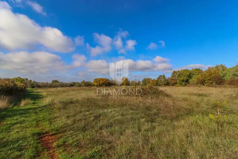 Terreno Svetvinčenat, 4.522m2 – 3