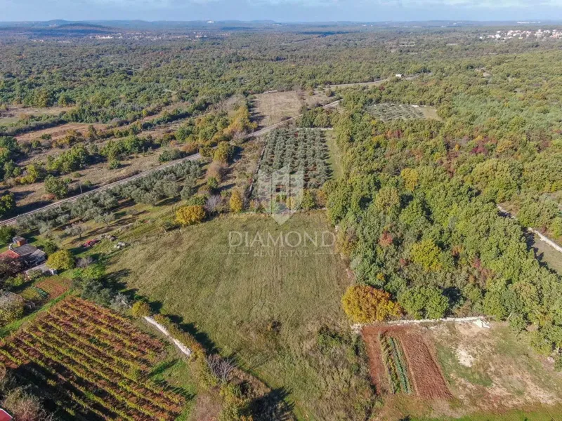 Svetvinčenat, dintorni, bel terreno in una posizione tranquilla – 3