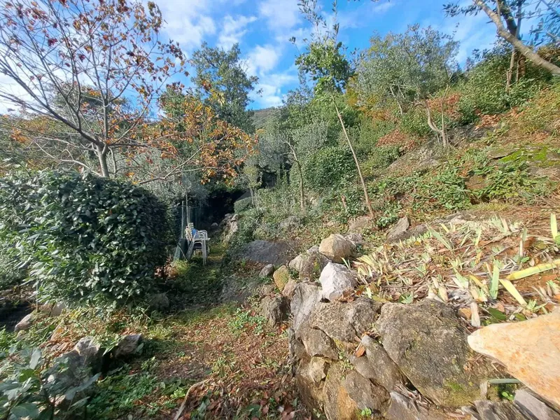 Land Medveja, Lovran, 1.817m2 – 2